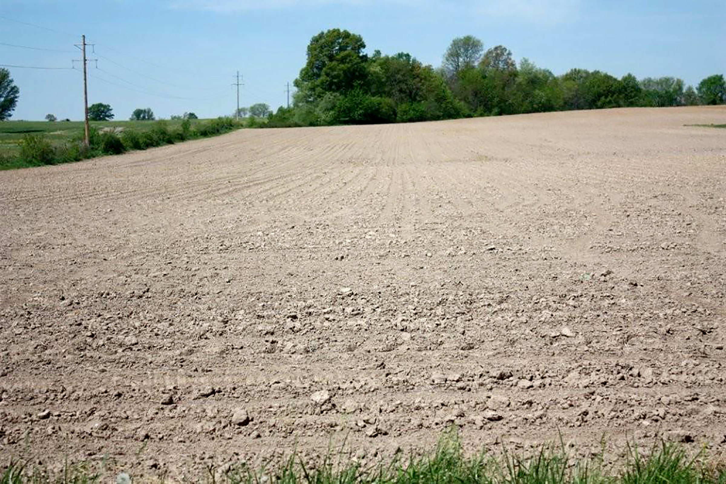 Property photo 3 - REAL ESTATE AUCTION - 126+/- ACRES OFFERED IN 4 TRACTS IN GREENE COUNTY, INDIANA